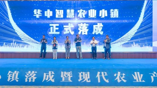 图片1 图片1