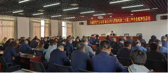 图片5 图片5