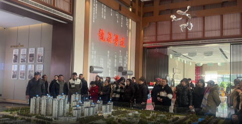 图片13 图片13