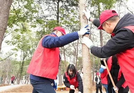 图片11 图片11