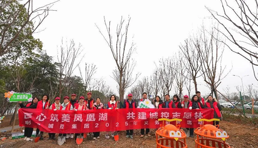 图片12 图片12
