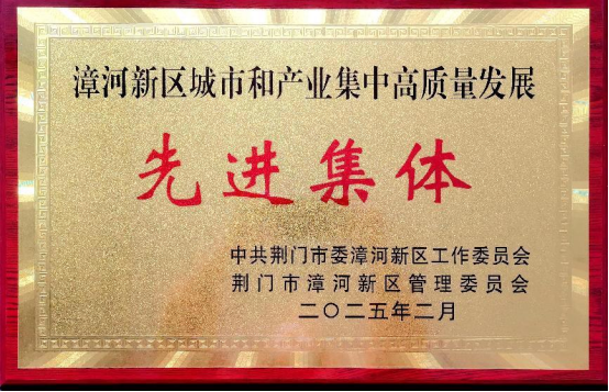 图片8